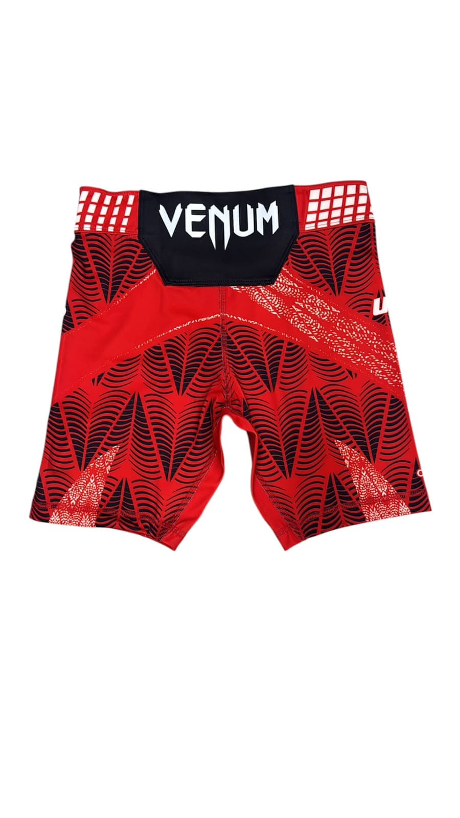 Shorts Licra 6 - image 2