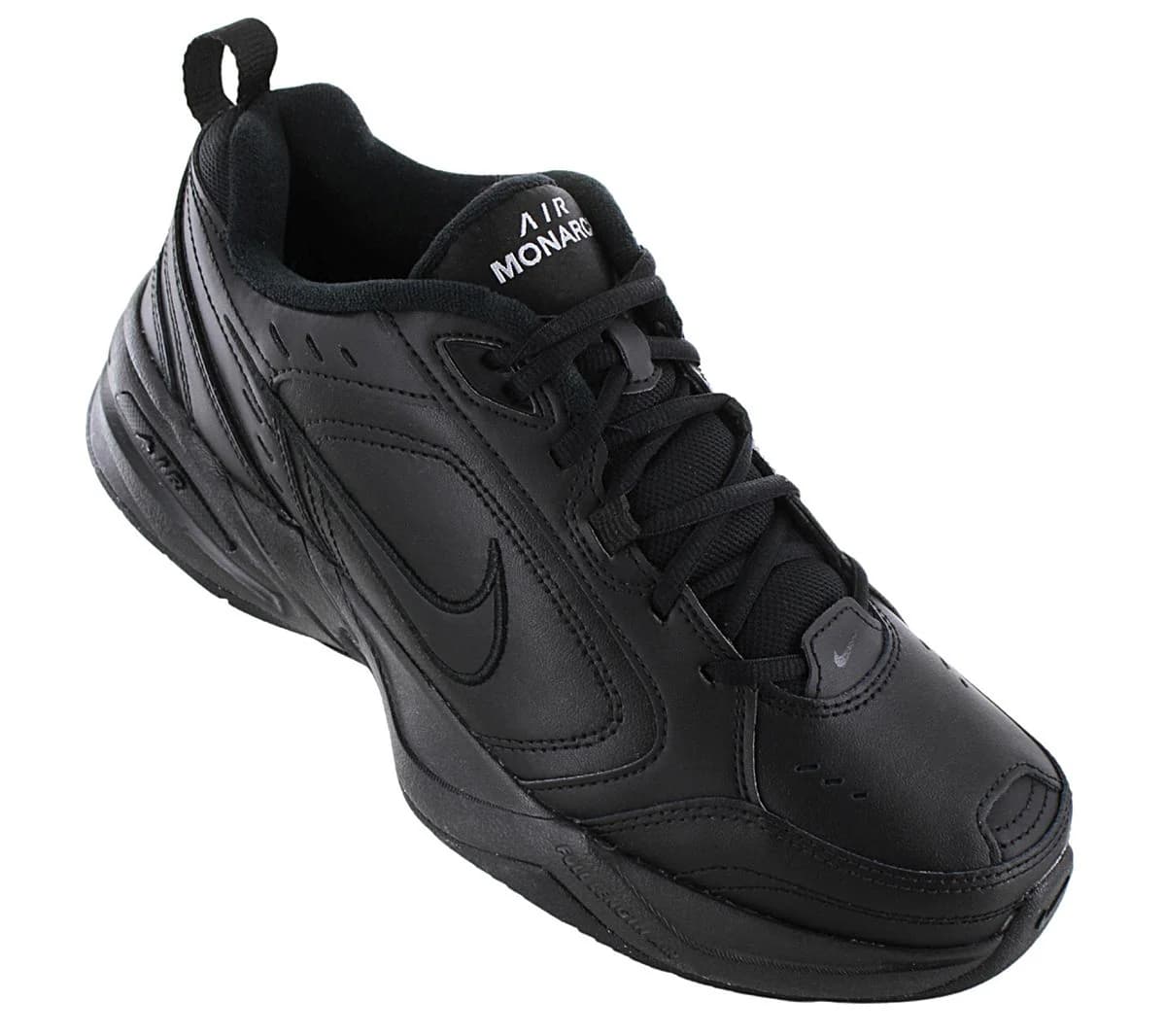 AIR MONARCH - image 2